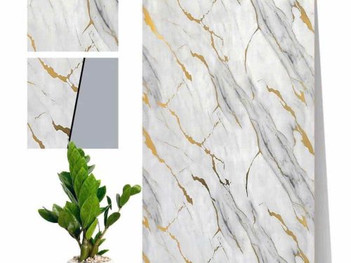 z6163882231761_58b7327553b080a511569685c26f2593